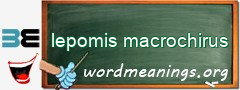 WordMeaning blackboard for lepomis macrochirus